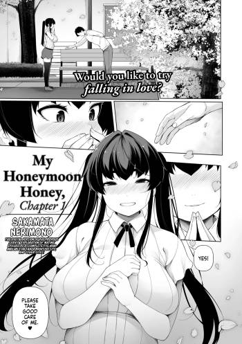 My Honeymoon Honey - Chapter 1