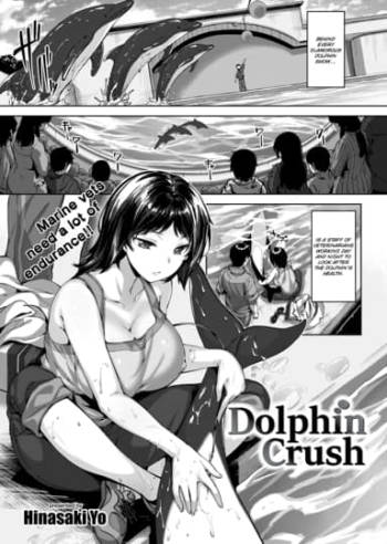 Dolphin Crush