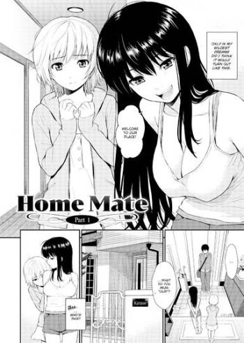 Home Mate - Part 1