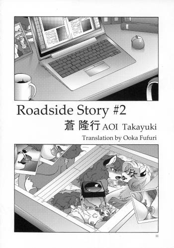 Roadside Story 2